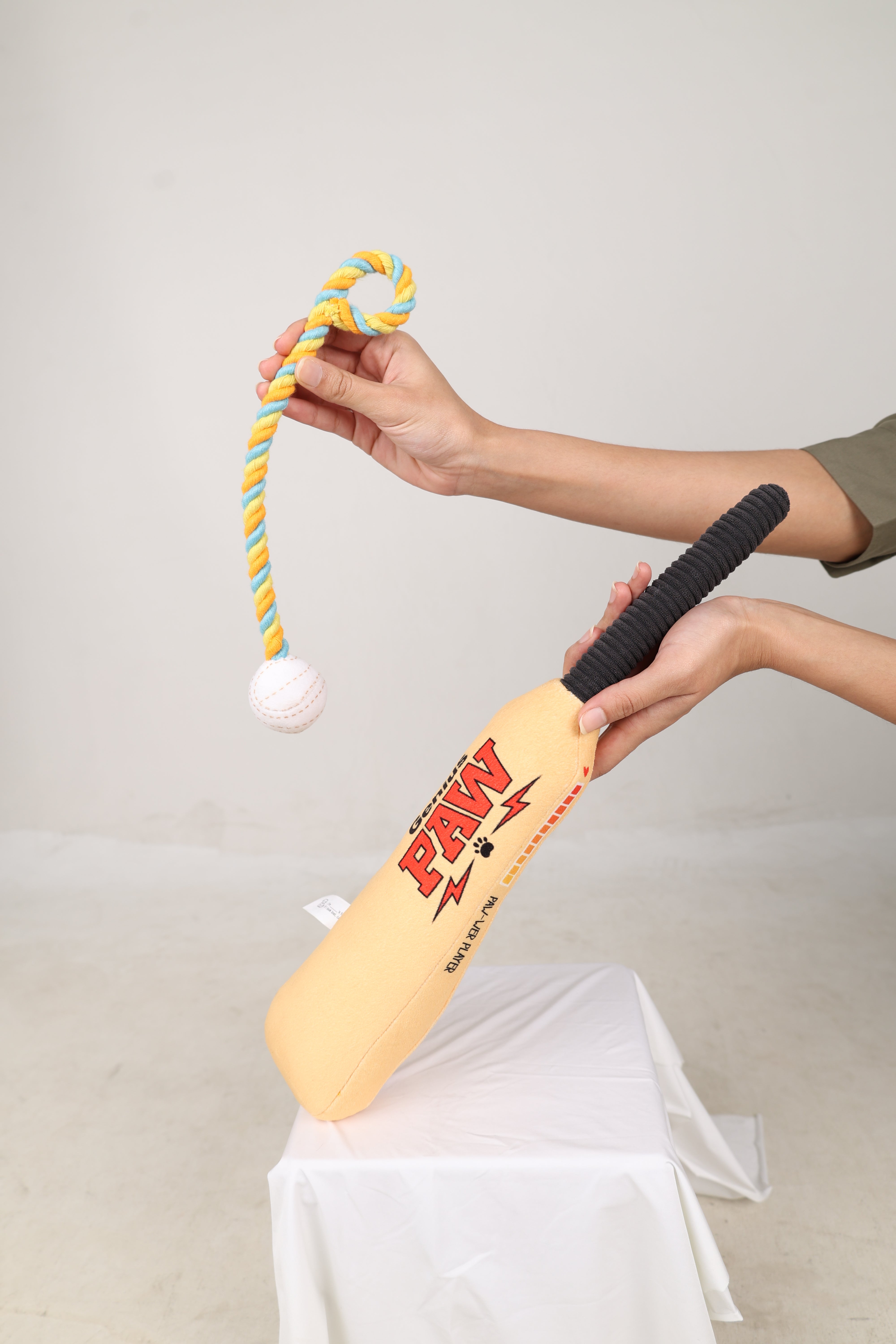 Cricket Bat and Ball Squeaky Plush Toy For Dogs – Desi Paws