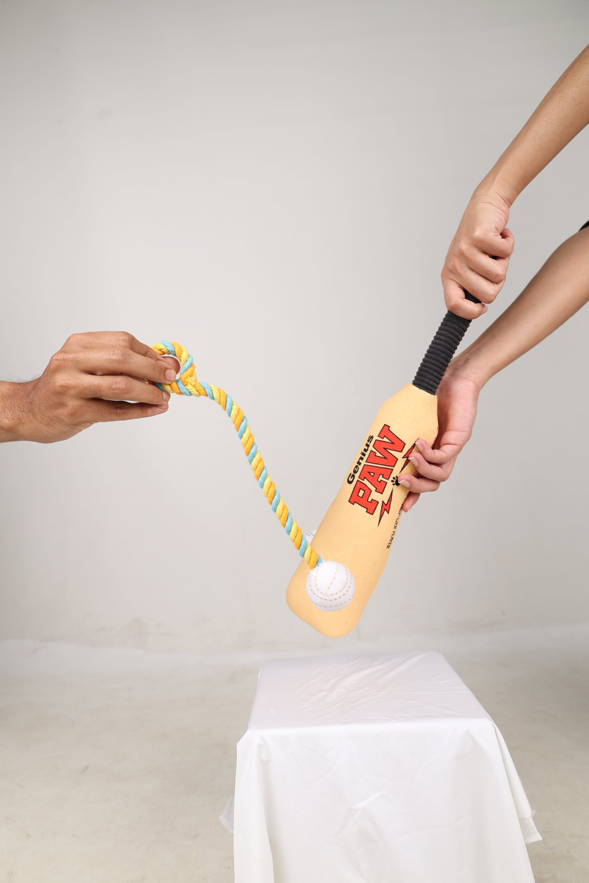 Cricket Bat and Ball Squeaky Plush Toy For Dogs