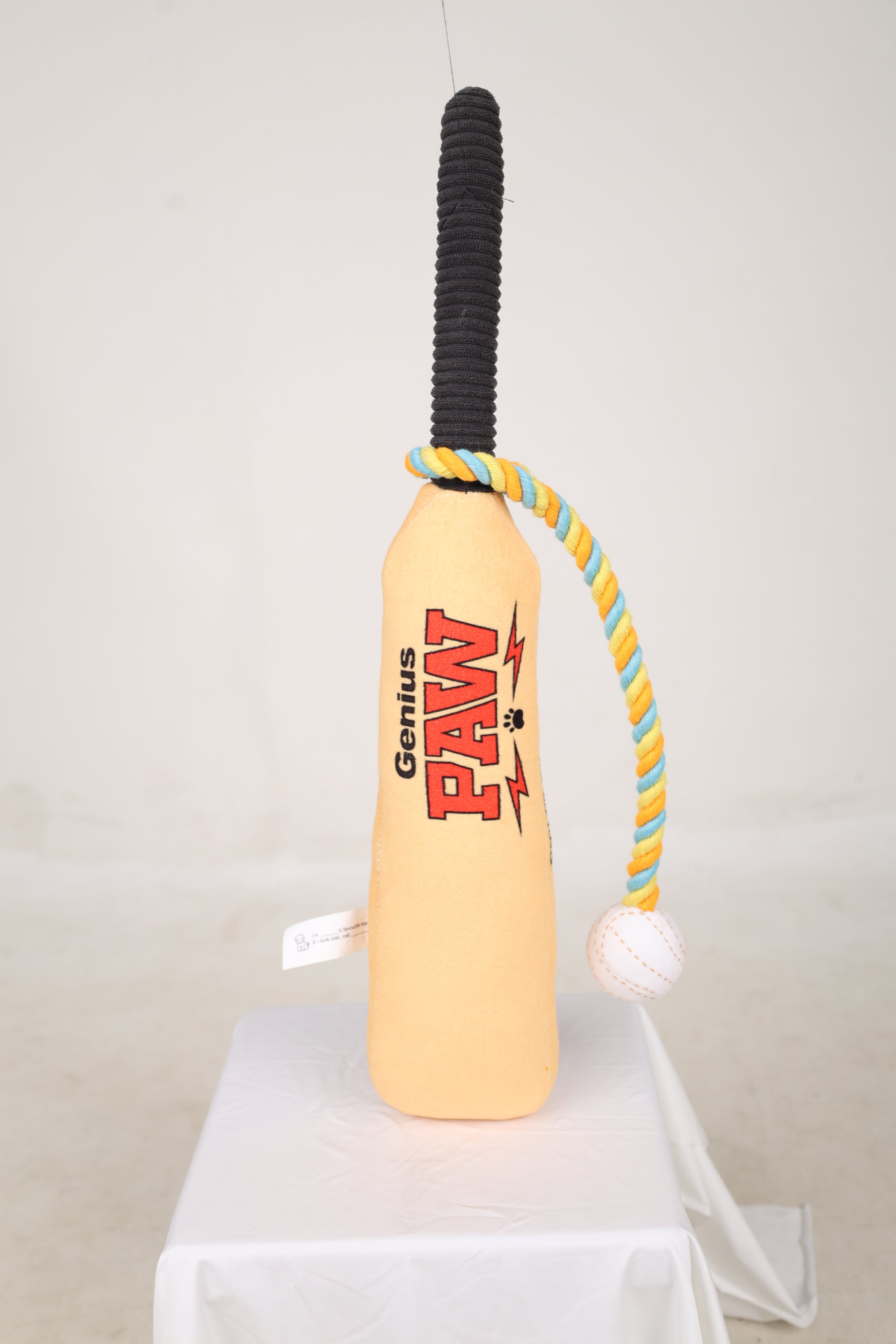 Cricket Bat and Ball Squeaky Plush Toy For Dogs