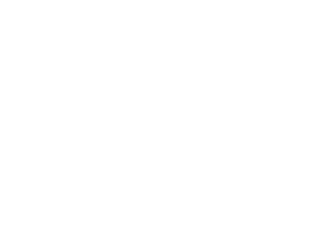 Desi Paws