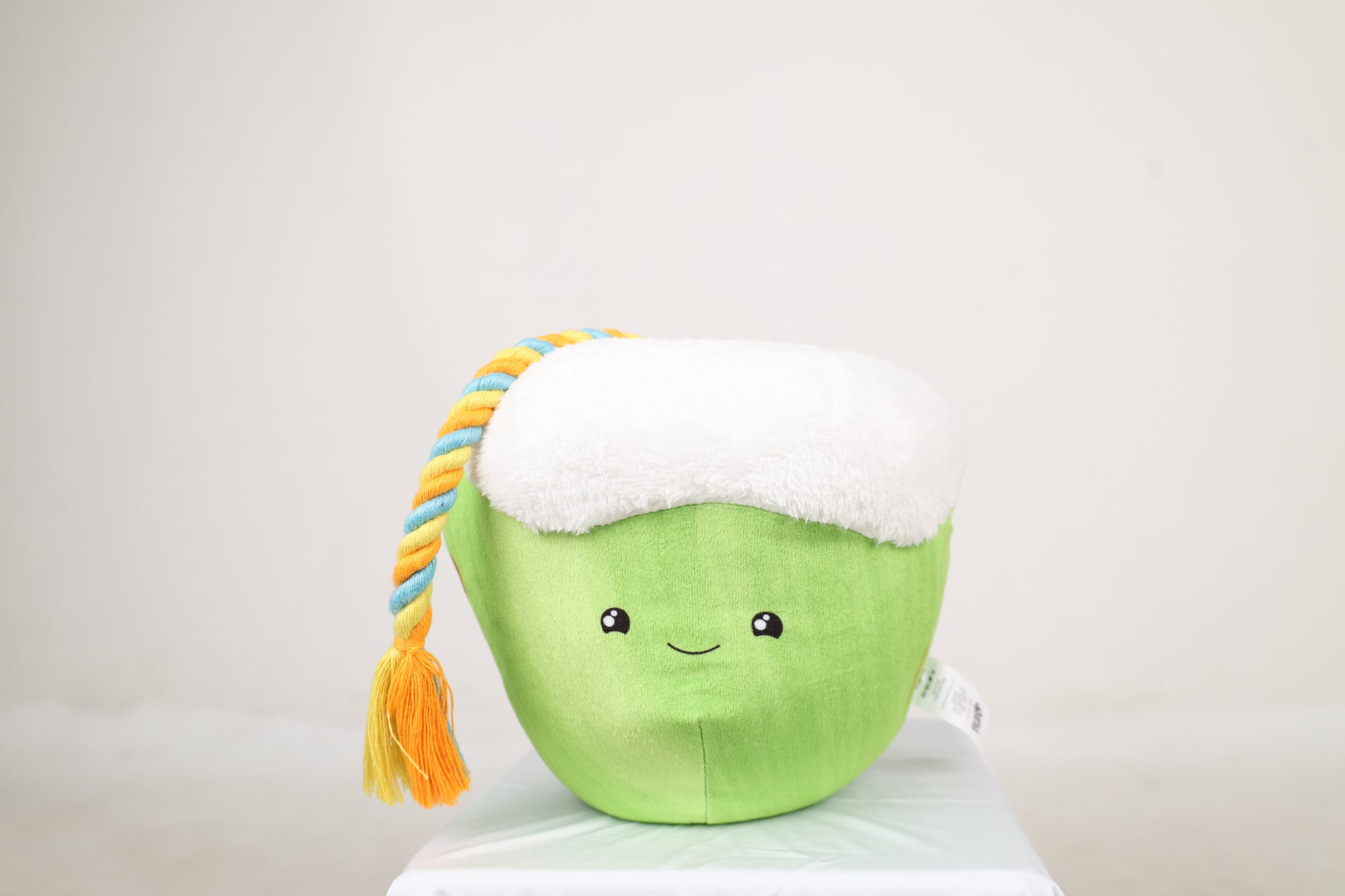 Tender Coconut and Straw Squeaky Plush Toy For Dogs