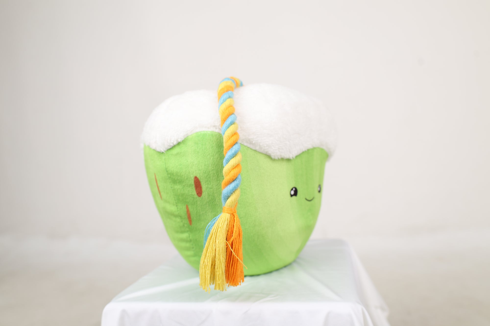 Tender Coconut and Straw Squeaky Plush Toy For Dogs