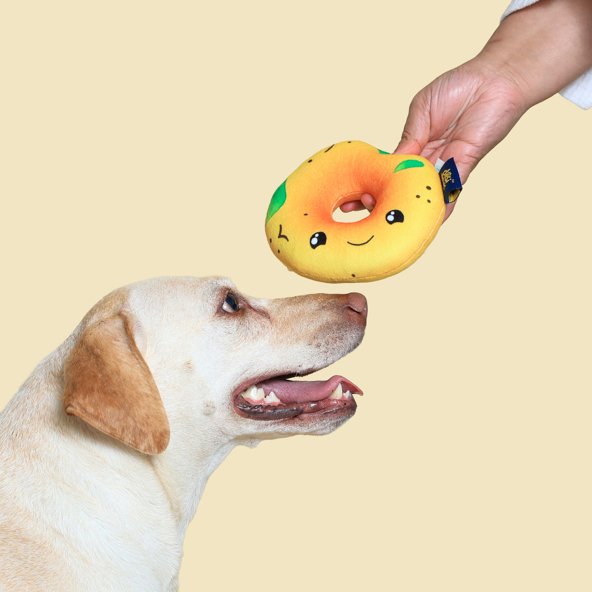 Vada Squeaky Plush Dog Toy