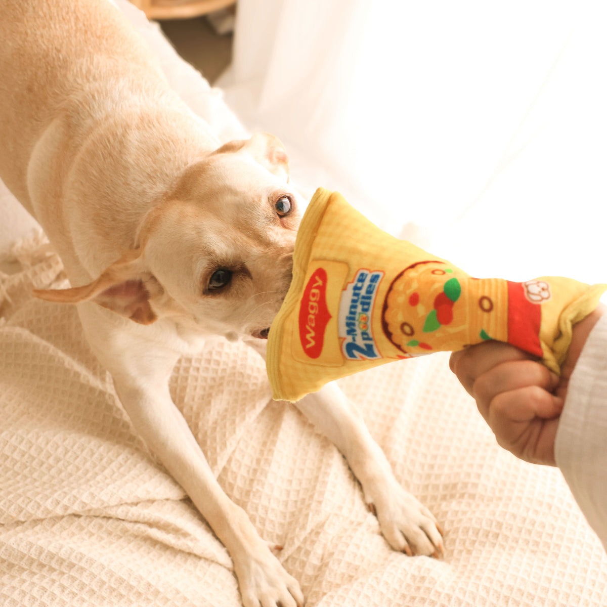 Waggy Poodles Crinkly Squeaky Plush Dog Toy