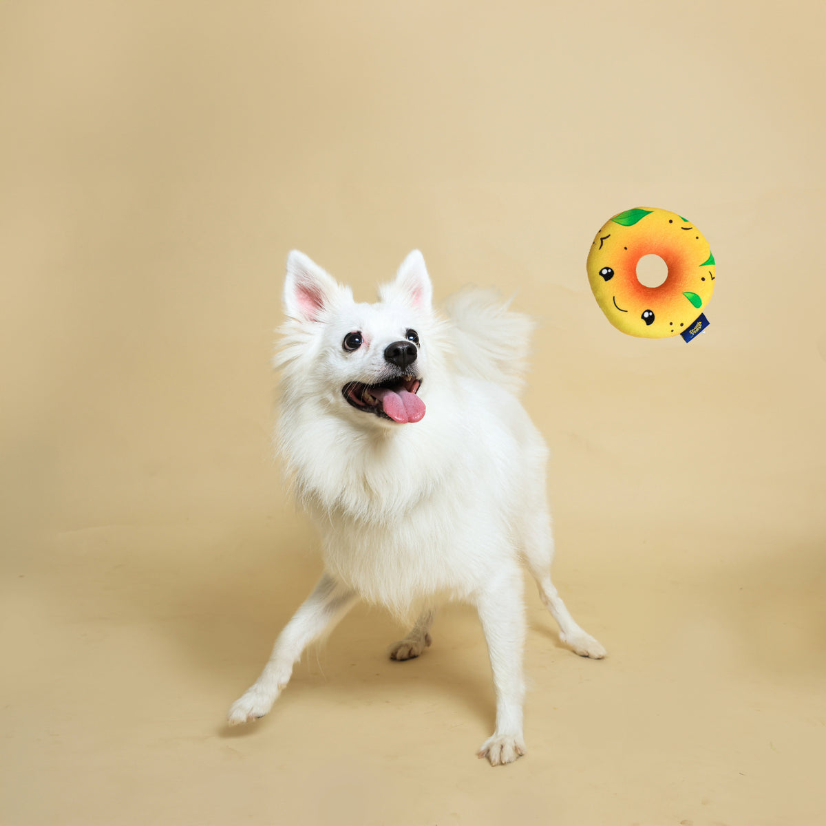 Vada Squeaky Plush Dog Toy