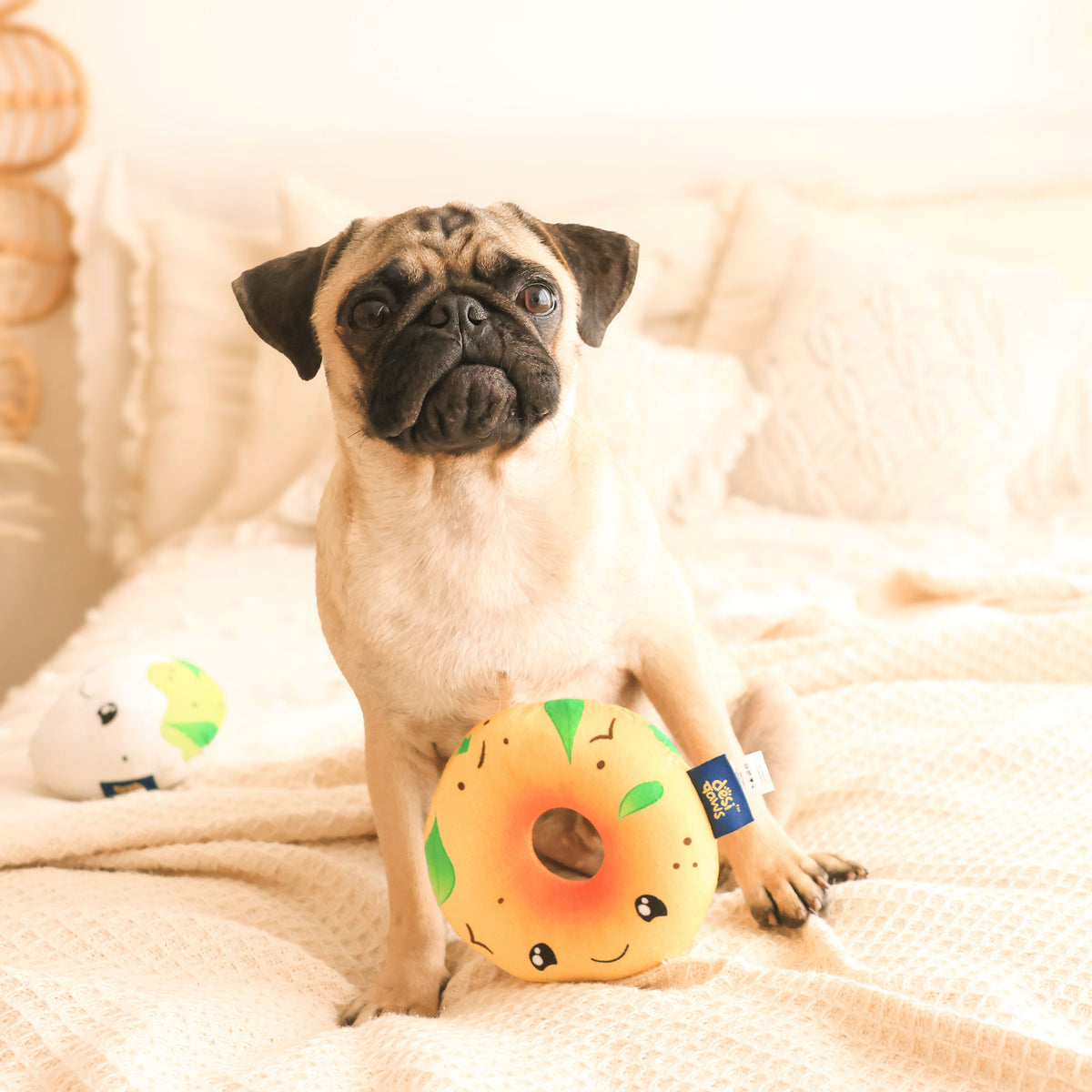 Vada Squeaky Plush Dog Toy